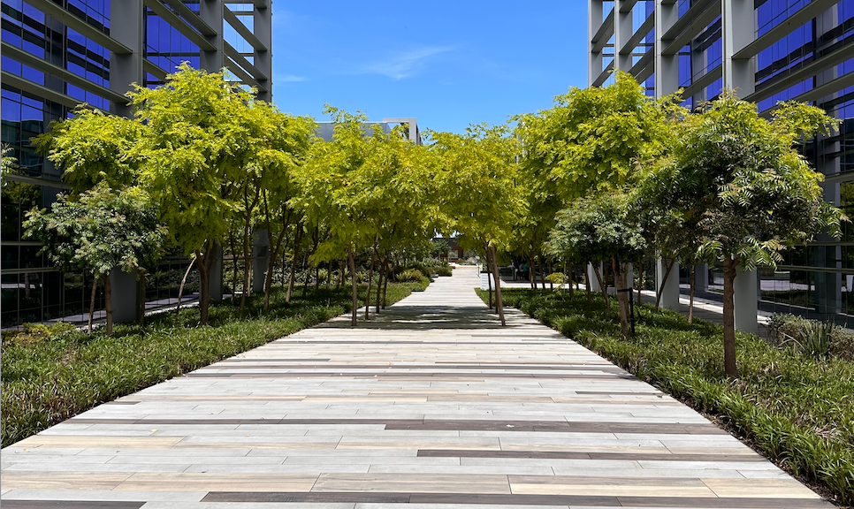 Screenshot-2024-01-05-at-2.33.17-pm