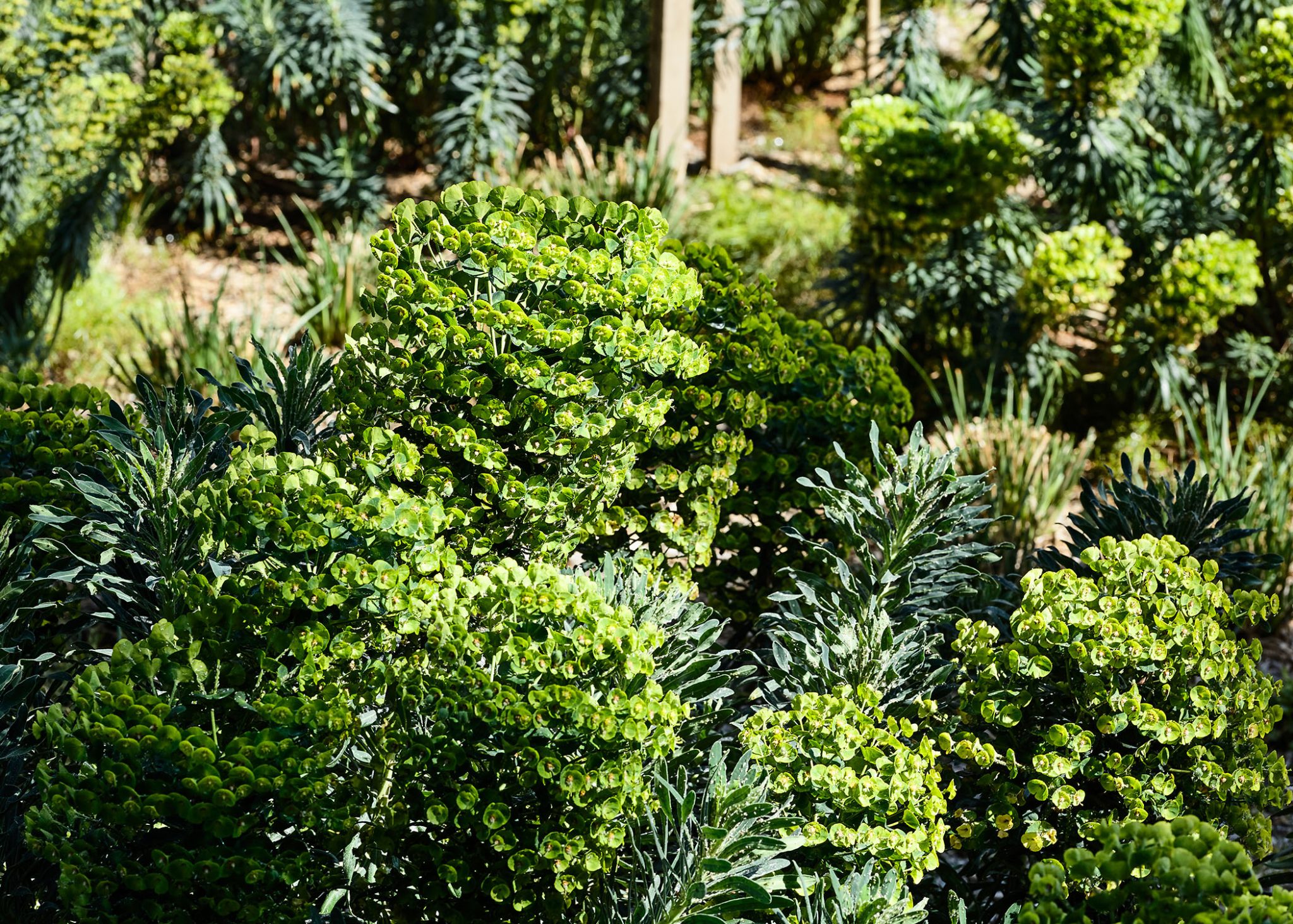 website-up_0009_1801005_Reinders_CBP_PRA_173-2048×1463